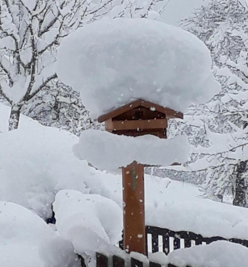 Vila Gruberhof Reith im Alpbachtal Exteriér fotografie